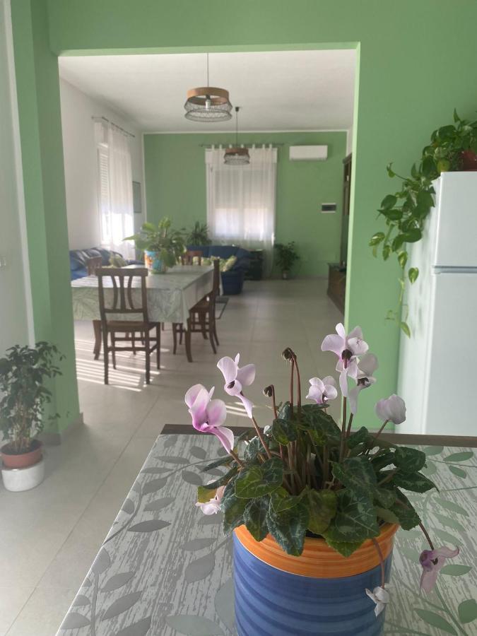 La Casa Verde Apartment Cinisi Ngoại thất bức ảnh